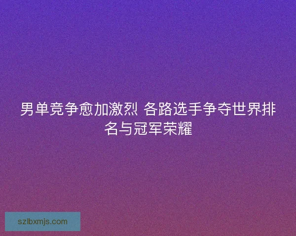 男单竞争愈加激烈 各路选手争夺世界排名与冠军荣耀